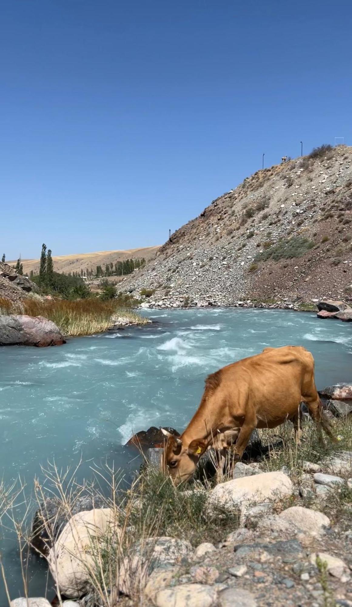 Kara-Bulak Mountain View Hot Spring Resort מראה חיצוני תמונה